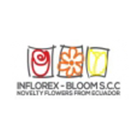 Bloom SCC logo